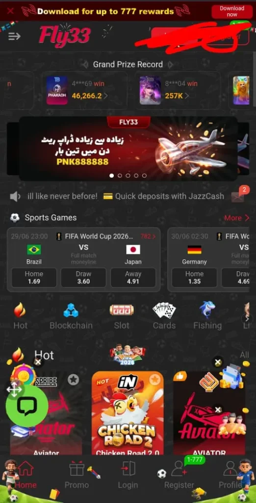 Fly33 game  features